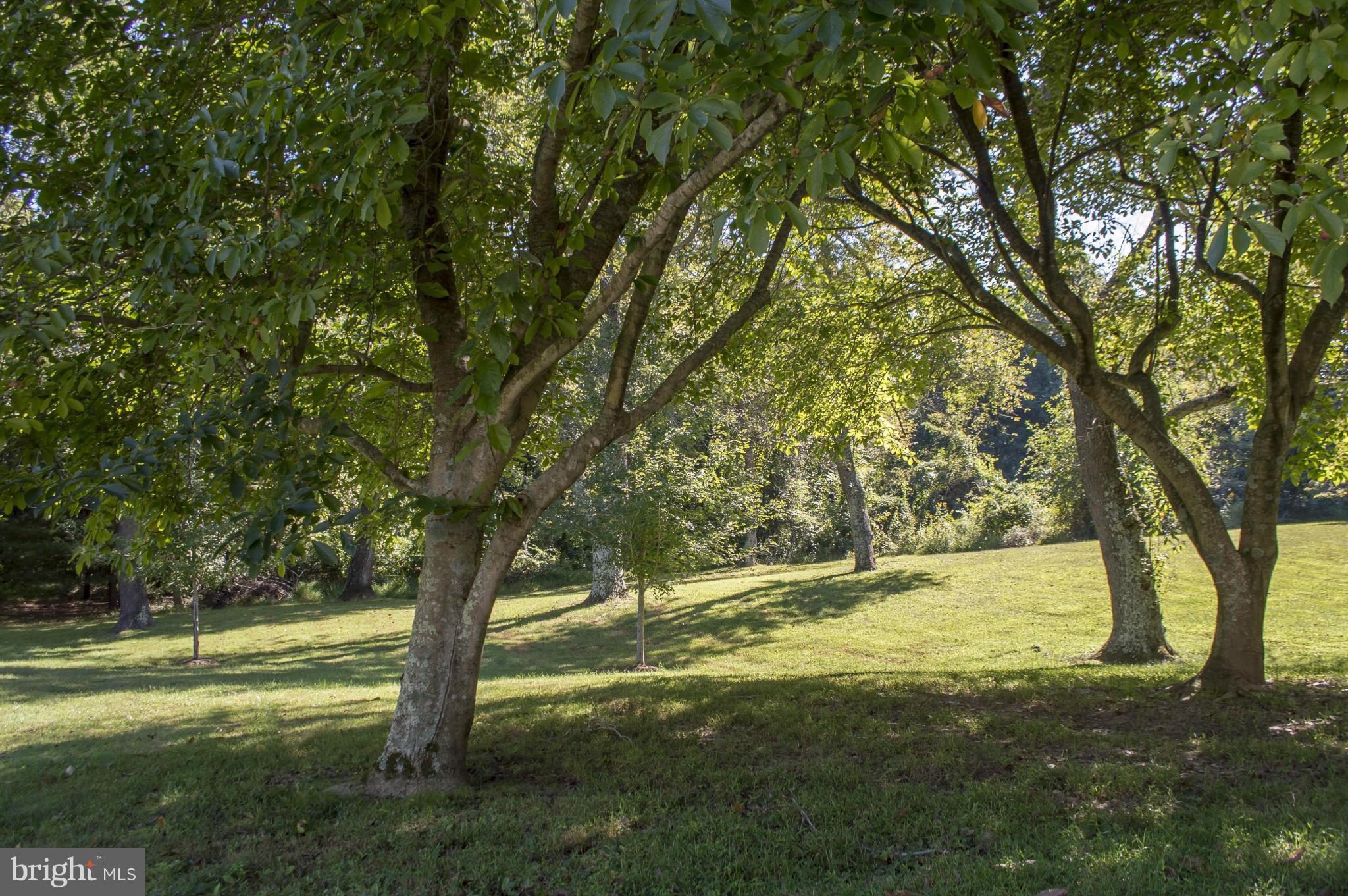 2050 Holland Cliffs Road Huntingtown, MD 20639 - Photo 8 of 29 a view of outdoor space with trees