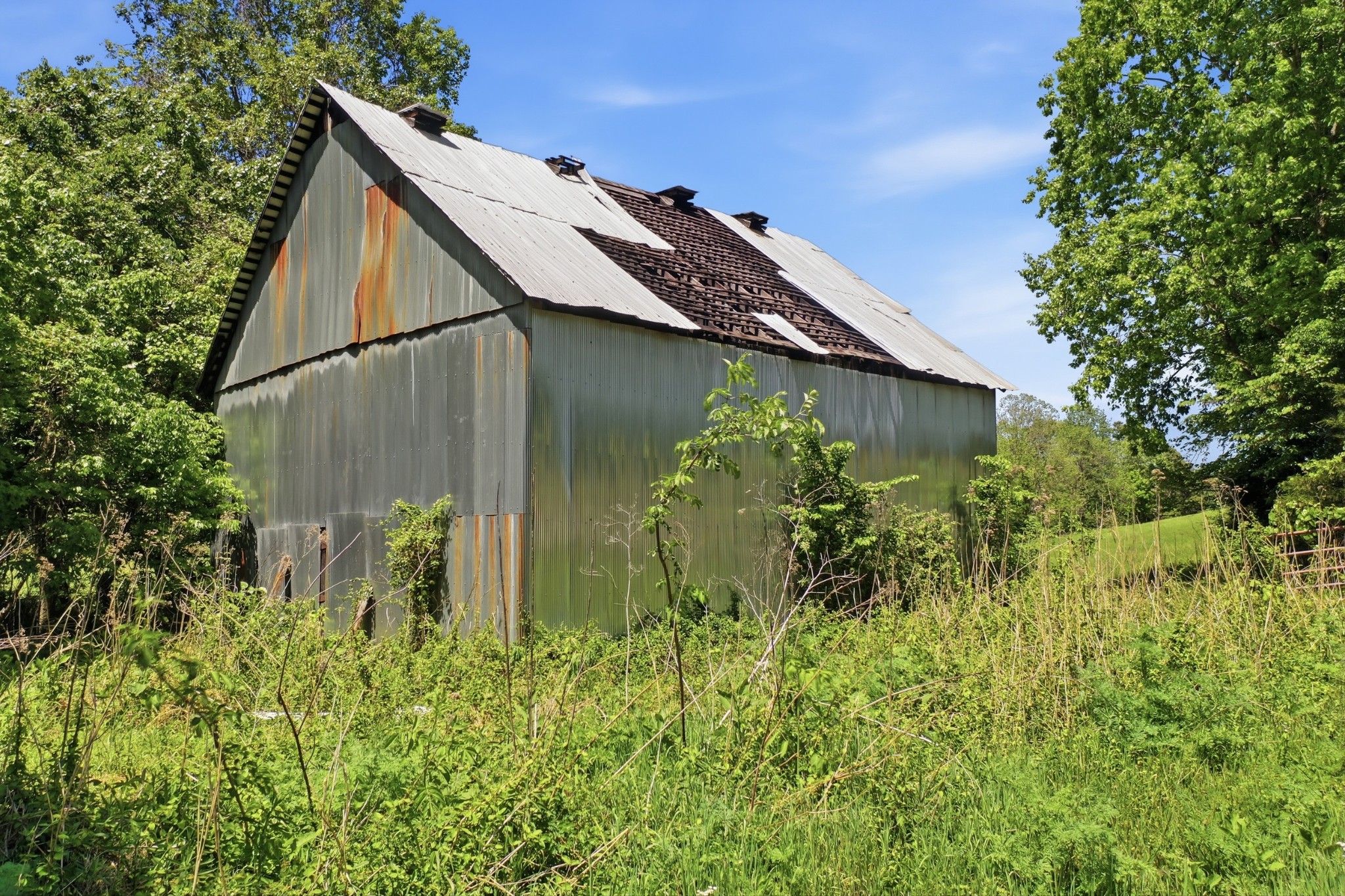 7 Gholson Road Clarksville, TN 37043 - Photo 13 of 14 Gallery Image 13