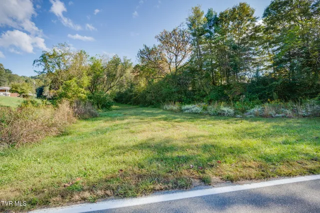 $146,500 | Tbd Clinch River Highway, Unit 2, Fort Blackmore, VA 24250