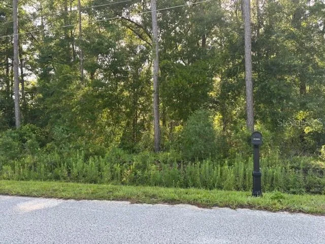 a view of a yard with a trees