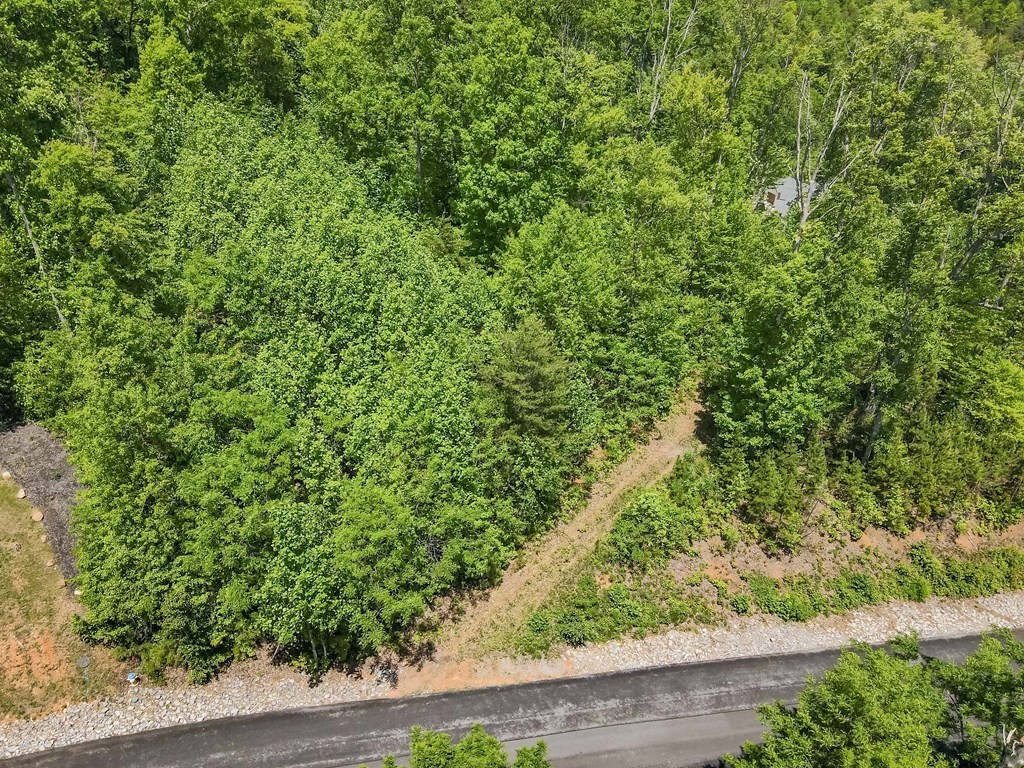 134 Summit Trails Drive Sevierville, TN 37862 - Photo 7 of 19