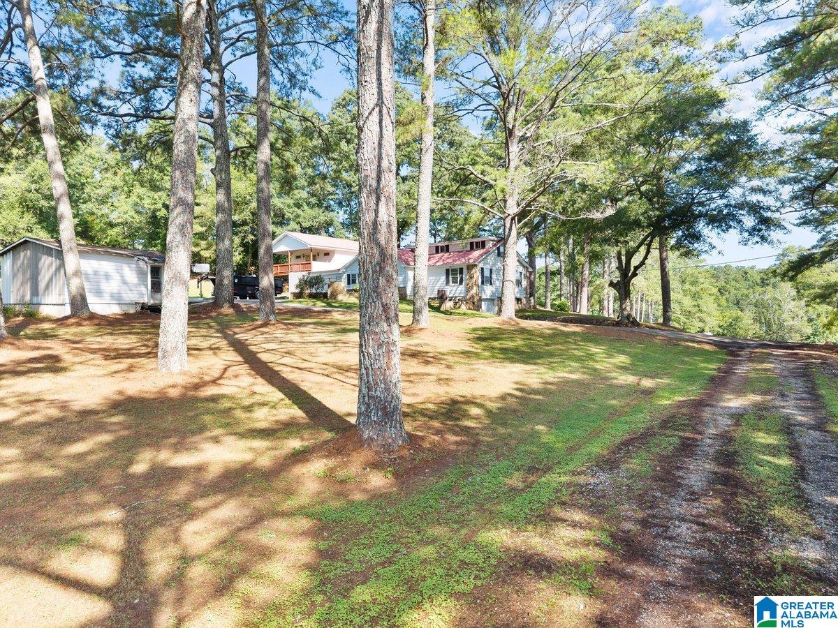 1120 Valley Road Oneonta, AL 35121 - Photo 13 of 32 Gallery Image 13