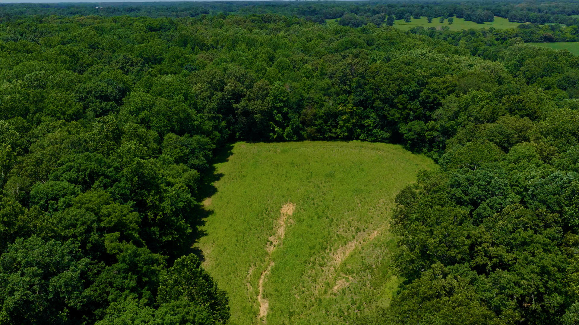 5279 State Line Road East Hazel, KY 42049 - Photo 72 of 93 47