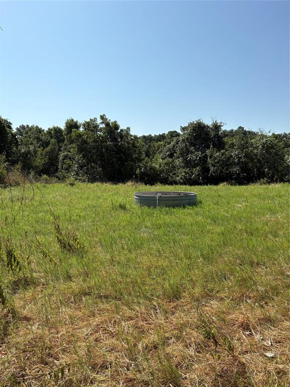 0 Gopher Road Millsap, TX 76066 - Photo 10 of 11 Gallery Image 10