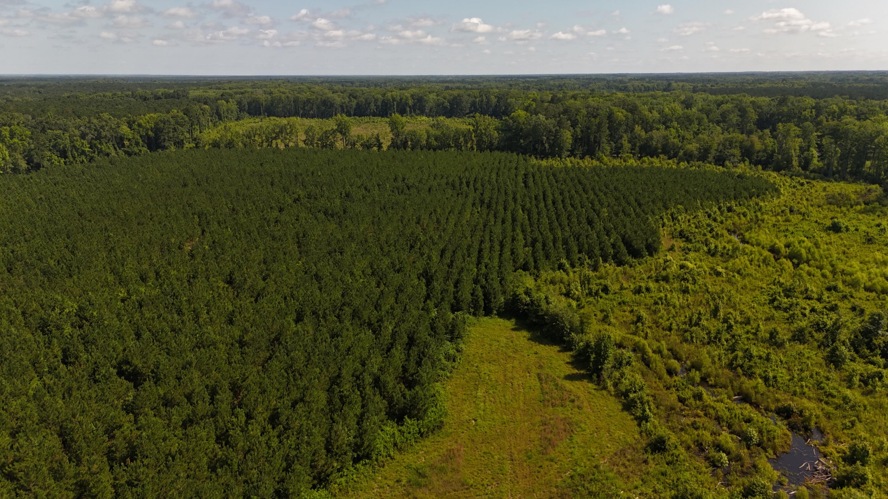 DJI_20250611102656_0052_D