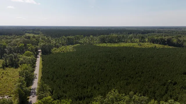 $202,020 | 0 Palmetto Sands Road, Branchville, SC 29432