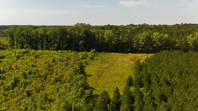 $202,020 | 0 Palmetto Sands Road, Branchville, SC 29432