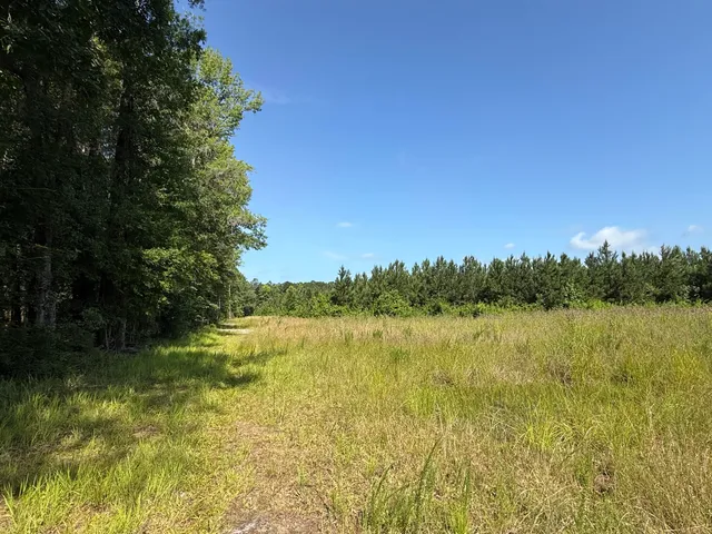 $202,020 | 0 Palmetto Sands Road, Branchville, SC 29432