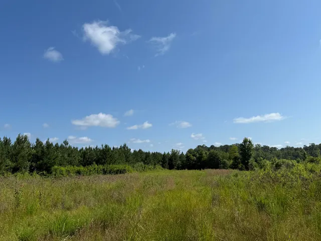 $202,020 | 0 Palmetto Sands Road, Branchville, SC 29432