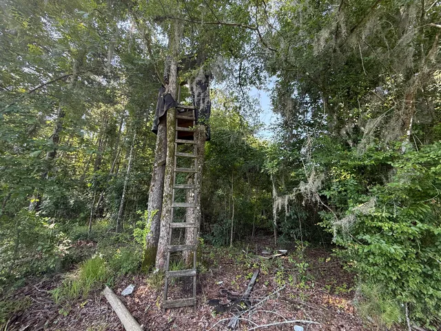 $202,020 | 0 Palmetto Sands Road, Branchville, SC 29432