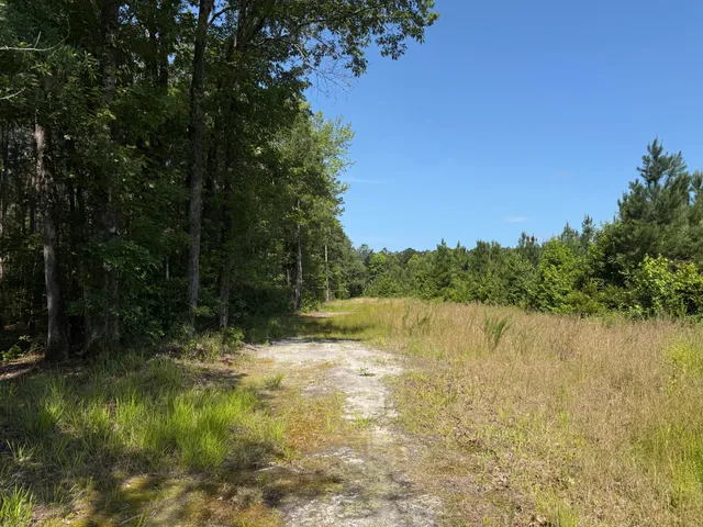 $202,020 | 0 Palmetto Sands Road, Branchville, SC 29432