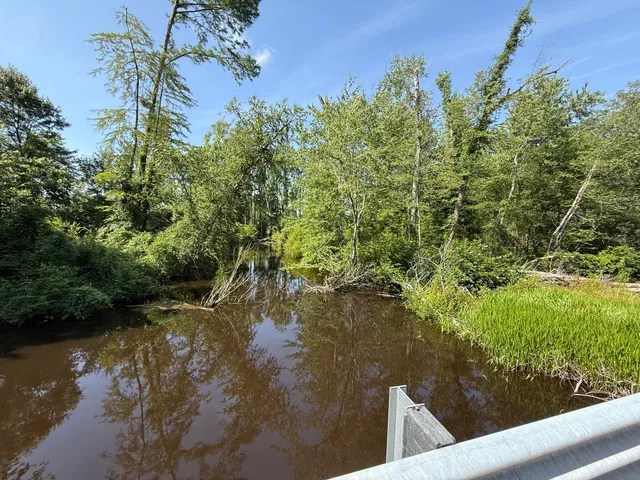 $202,020 | 0 Palmetto Sands Road, Branchville, SC 29432