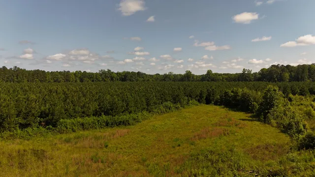 $202,020 | 0 Palmetto Sands Road, Branchville, SC 29432