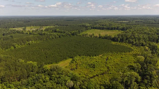 $202,020 | 0 Palmetto Sands Road, Branchville, SC 29432