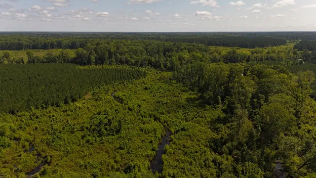 $202,020 | 0 Palmetto Sands Road, Branchville, SC 29432