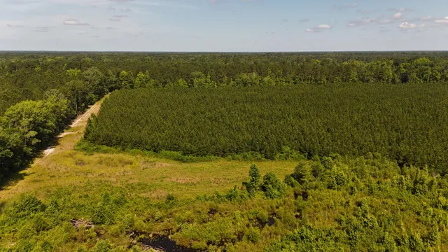 $202,020 | 0 Palmetto Sands Road, Branchville, SC 29432