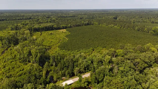 $202,020 | 0 Palmetto Sands Road, Branchville, SC 29432