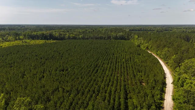 $202,020 | 0 Palmetto Sands Road, Branchville, SC 29432