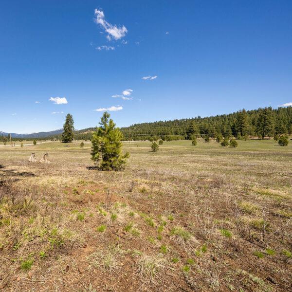 Lot 25 To Be Determined, Unit 25 McCall, ID 83638 - Photo 1 of 2 Main View