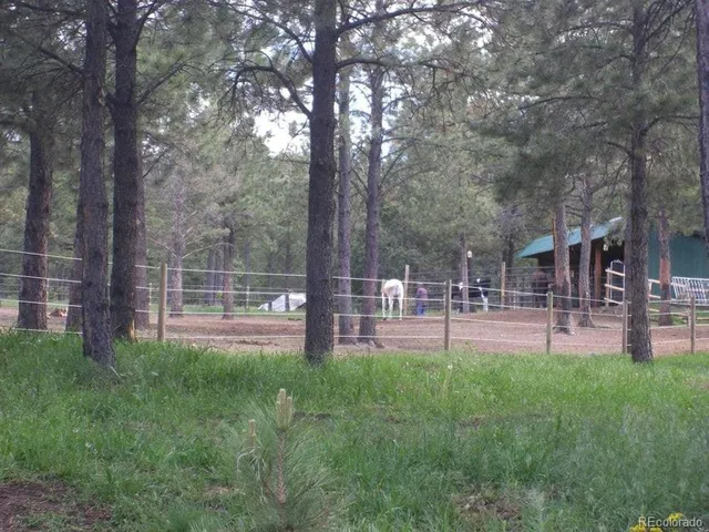 a view of an outdoor space and a yard