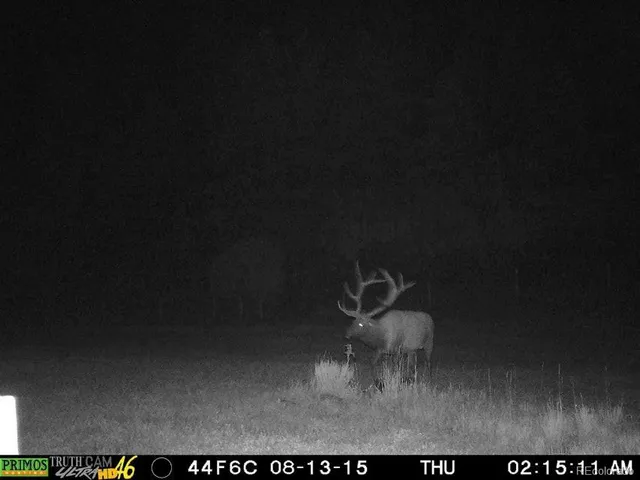 a view of a porch with furniture and a yard
