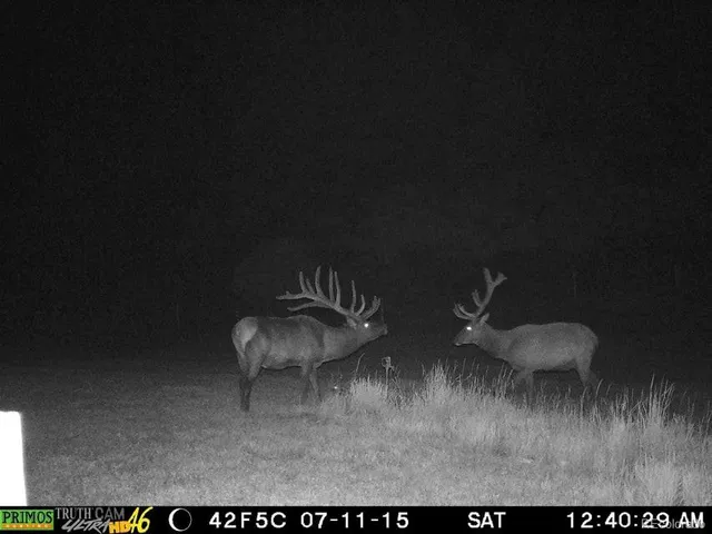a bed sitting in a bedroom next to a lamp