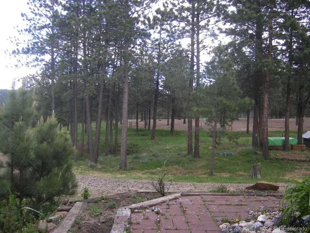 a view of a backyard