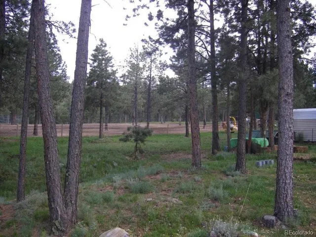 a view of a grassy field