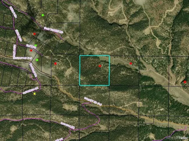 a view of a lake with a tree