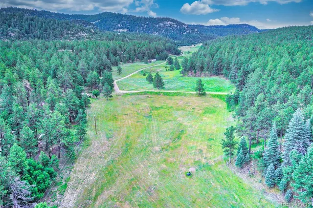 a view of grassy field with mountain