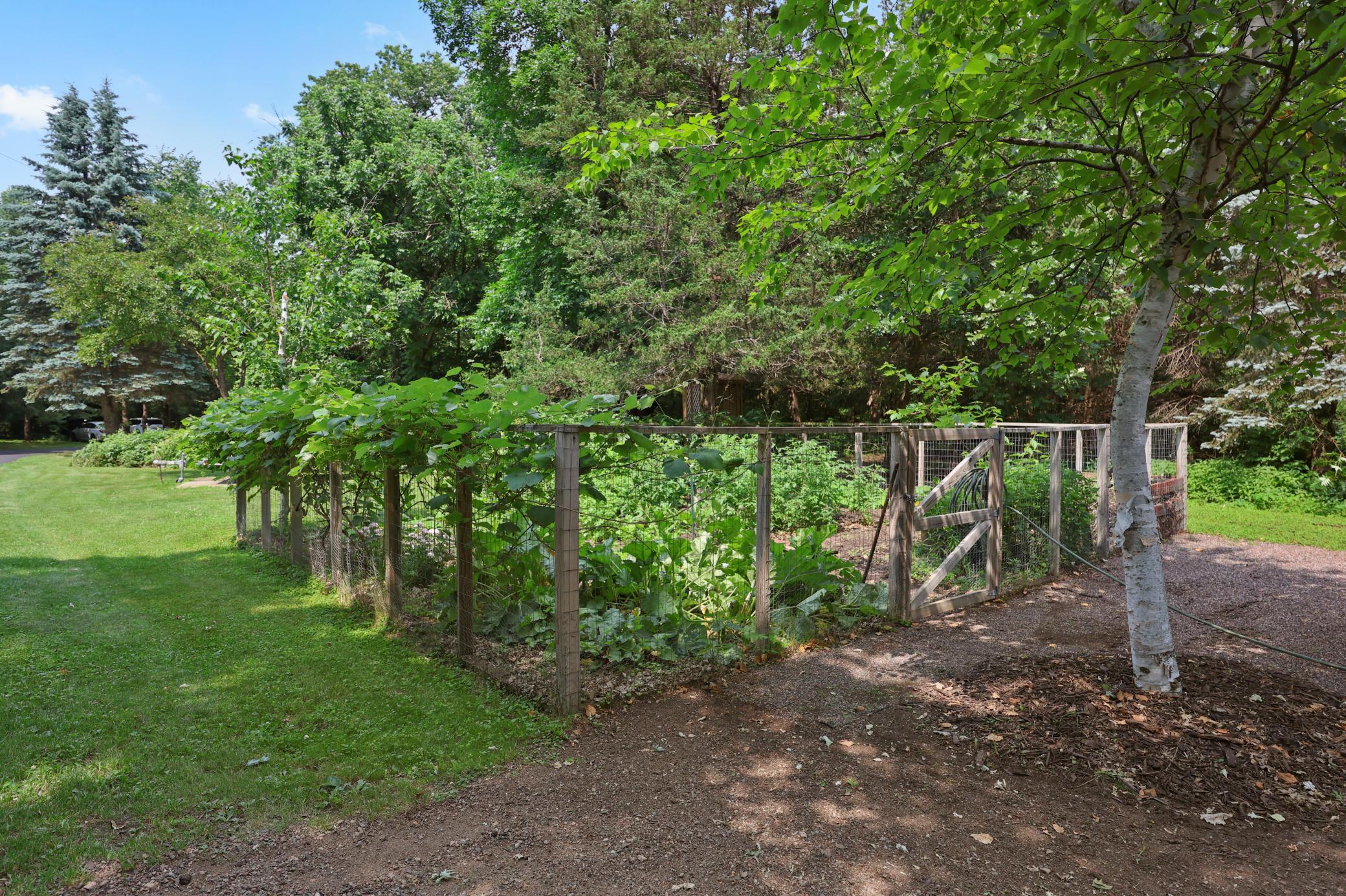 4040 Ricecliff Lane Rice, MN 56367 - Photo 102 of 124