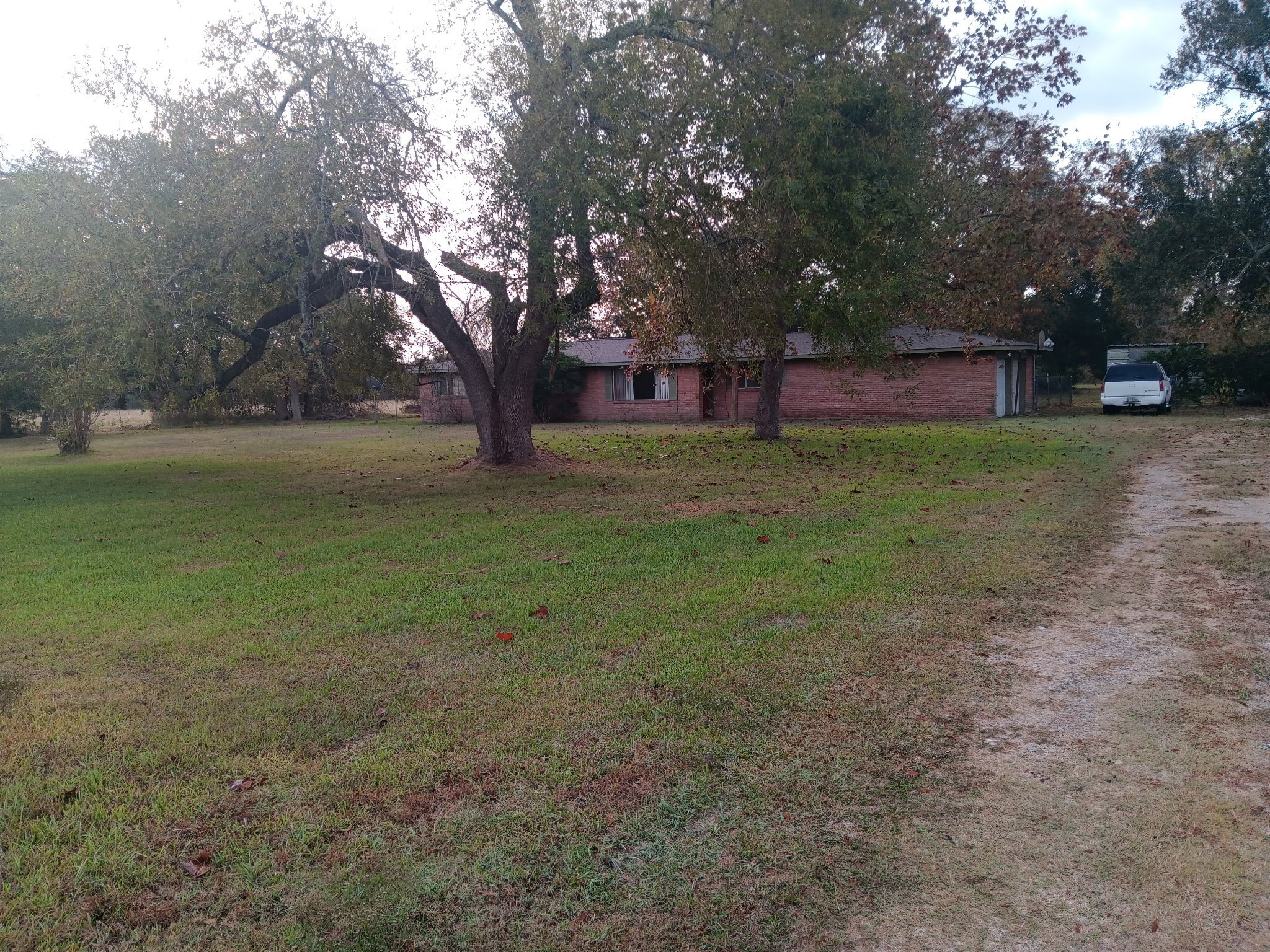 3702 Cedar Rapids Parkway Iowa Colony, TX 77583 - Photo 21 of 22 a view of a yard with a tree
