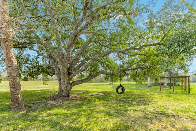 a view of yard with trees