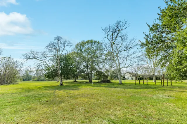 a huge green field with lots of trees