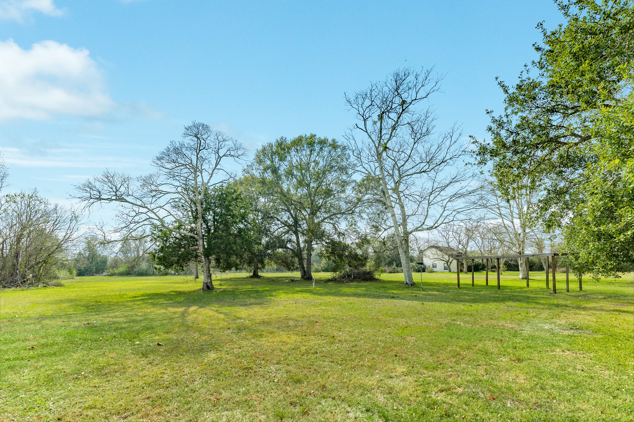 3702 Cedar Rapids Parkway Iowa Colony, TX 77583 - Photo 22 of 31 a huge green field with lots of trees