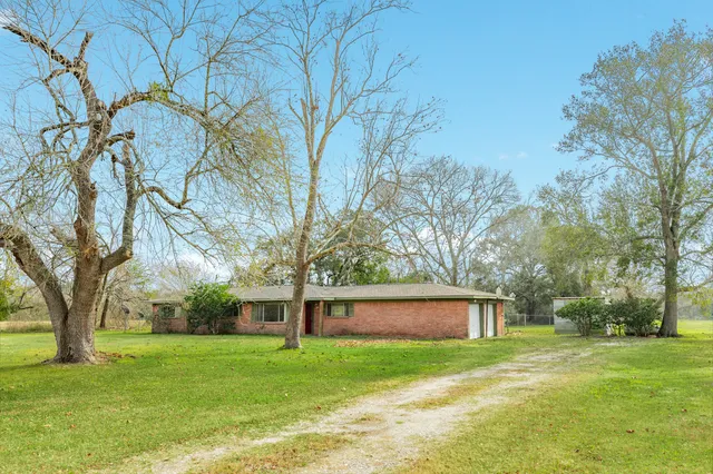 a view of a backyard with large trees