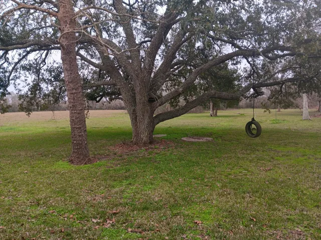 a view of outdoor space with deck and trees