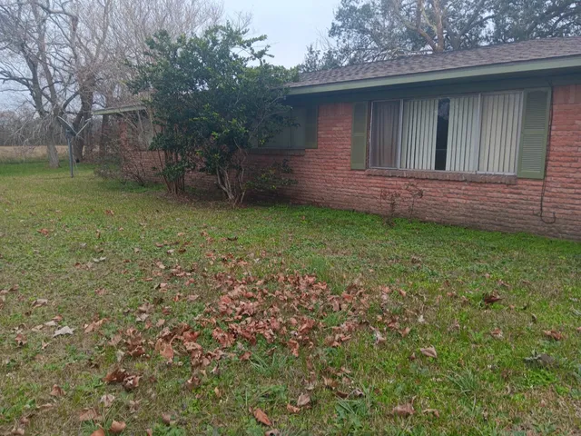 a view of a tree in a yard