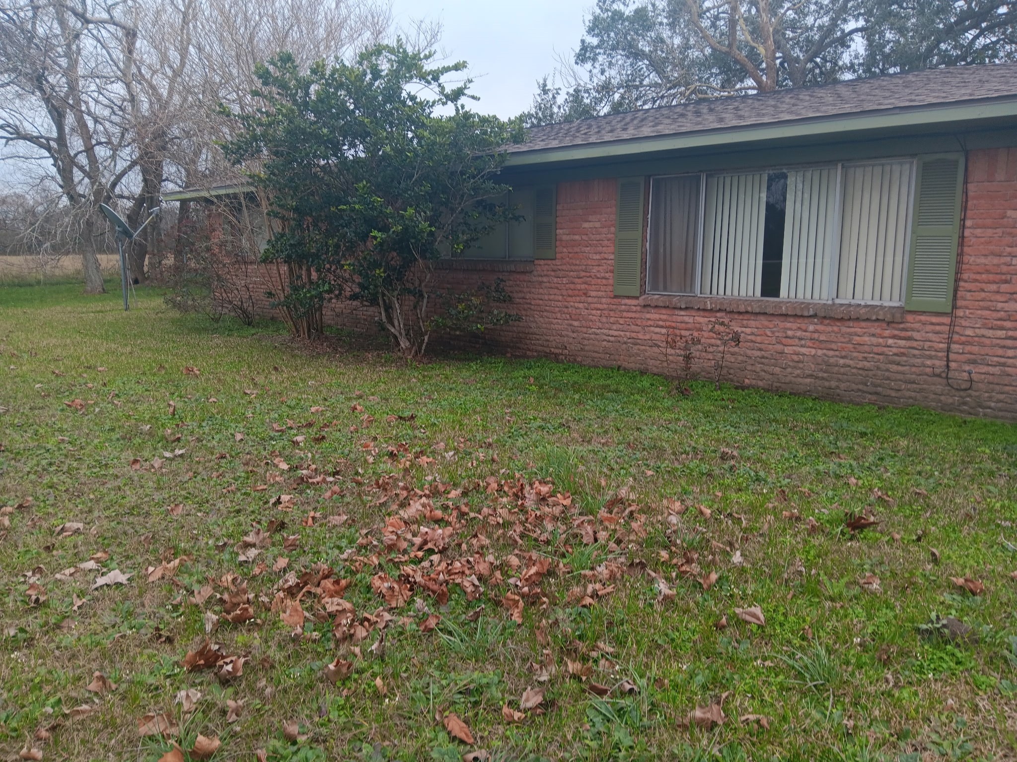 3702 Cedar Rapids Parkway Iowa Colony, TX 77583 - Photo 3 of 22 a backyard of a house with lots of green space