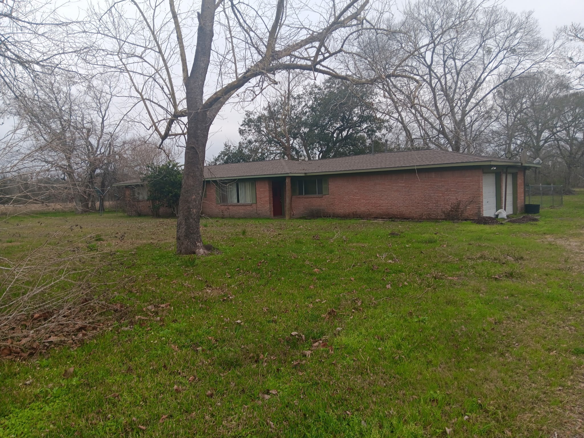 3702 Cedar Rapids Parkway Iowa Colony, TX 77583 - Photo 4 of 22 a view of a tree in a yard