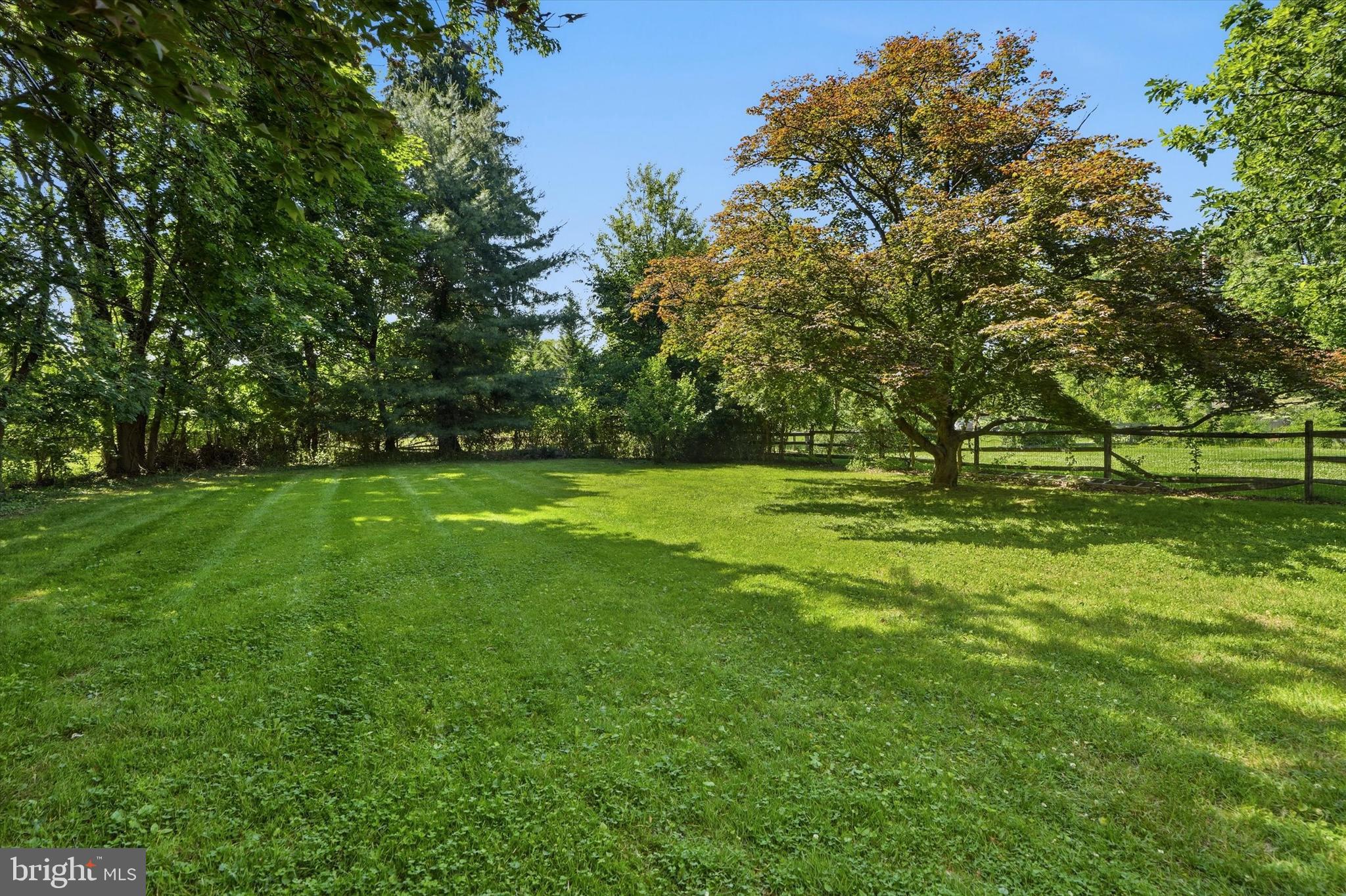 841 Ivy Road Ambler, PA 19002 - Photo 33 of 50 Back Yard
