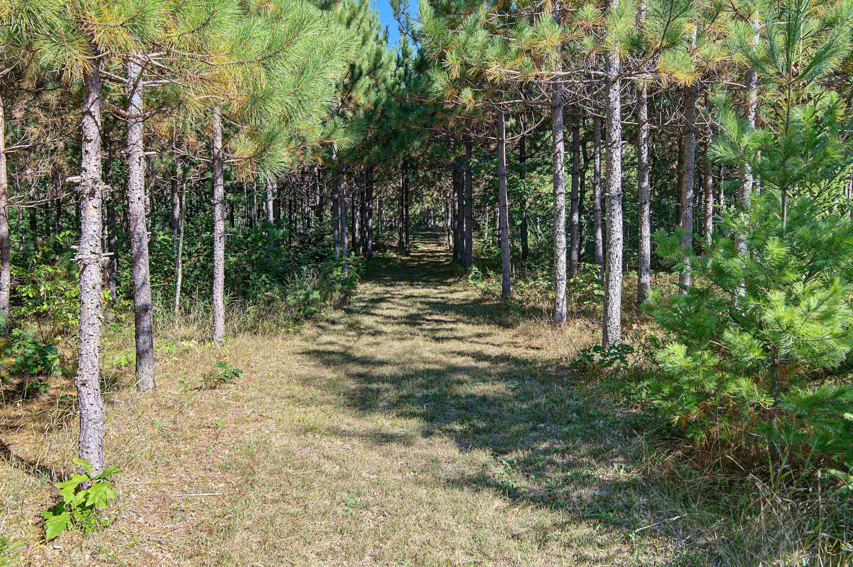 N10486 Elm Road Wausaukee, WI 54177 - Photo 74 of 80 Gallery Image 74
