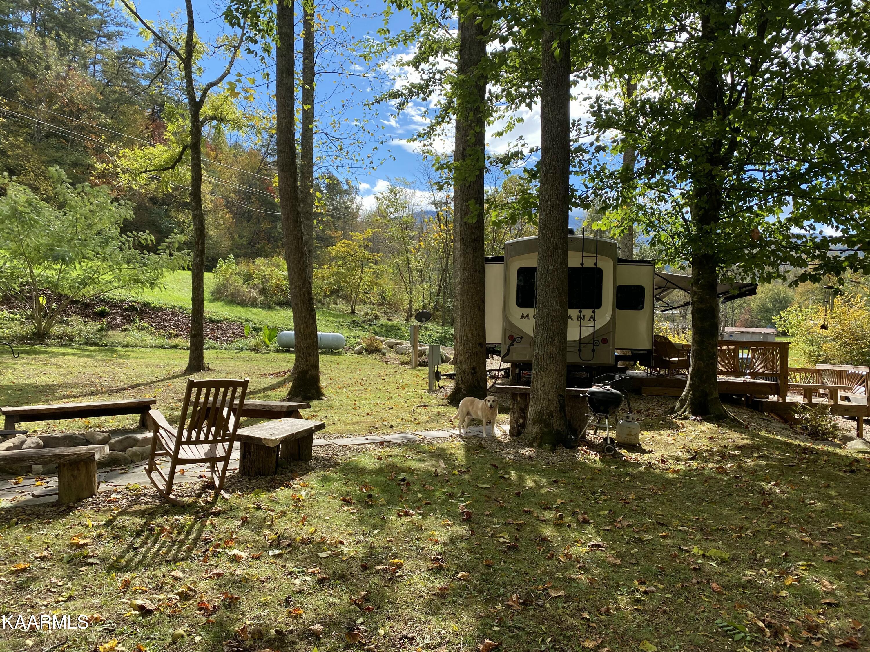 4611 Connie Town Road Cosby, TN 37722 - Photo 11 of 22 5182CCF9-E044-40EB-A654-3D4B049856DA