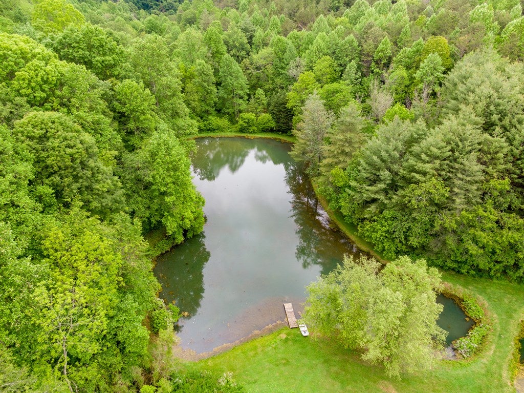 227 Dutton Hollow Road Rural Retreat, VA 24368 - Photo 17 of 81 Gallery Image 17