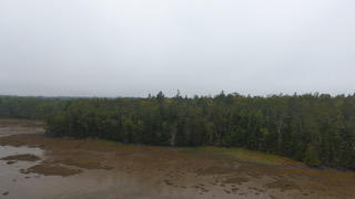 Tbd Lyons Road Lubec, ME 04652 - Photo 9 of 23 DJI_0231