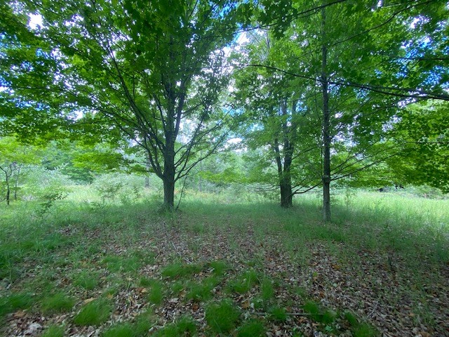 Lot 2 West Meadow Road Fish Creek, WI 54212 - Photo 2 of 40