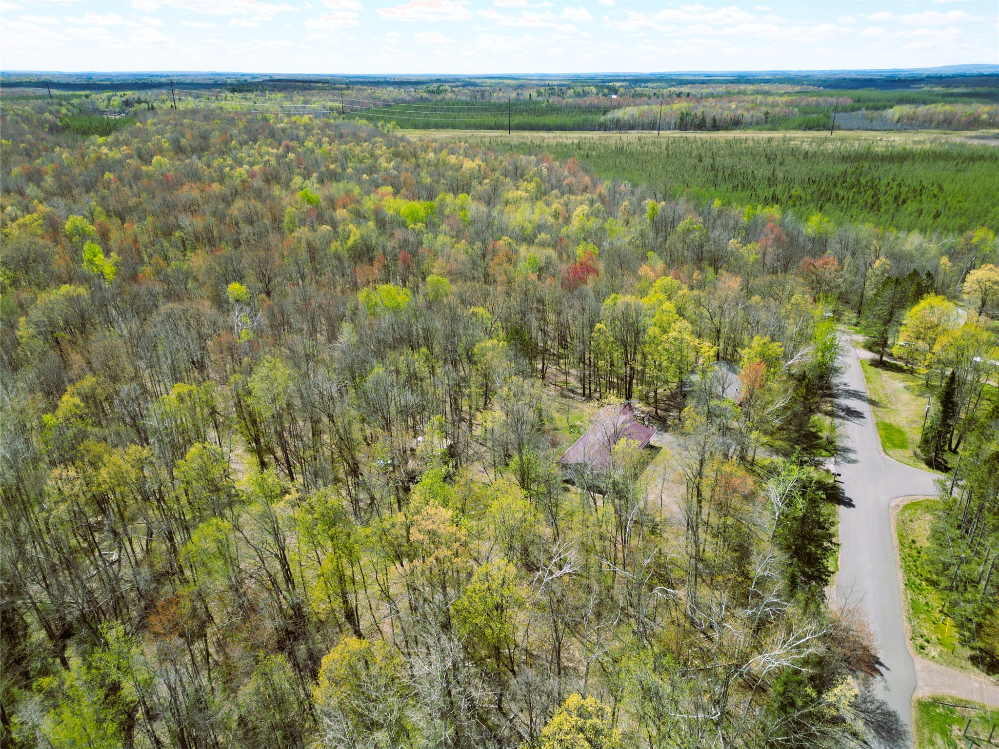 96 White Birch Ridge Road Ladysmith, WI 54848 - Photo 7 of 13