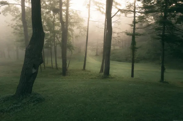 a view of an outdoor space and trees
