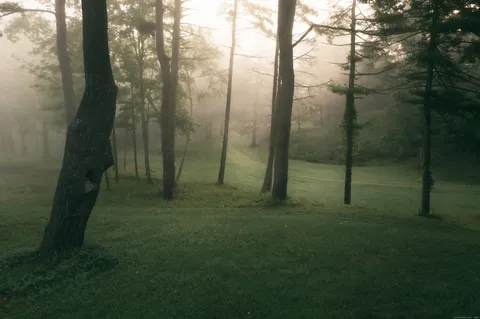 a view of a lake from a yard