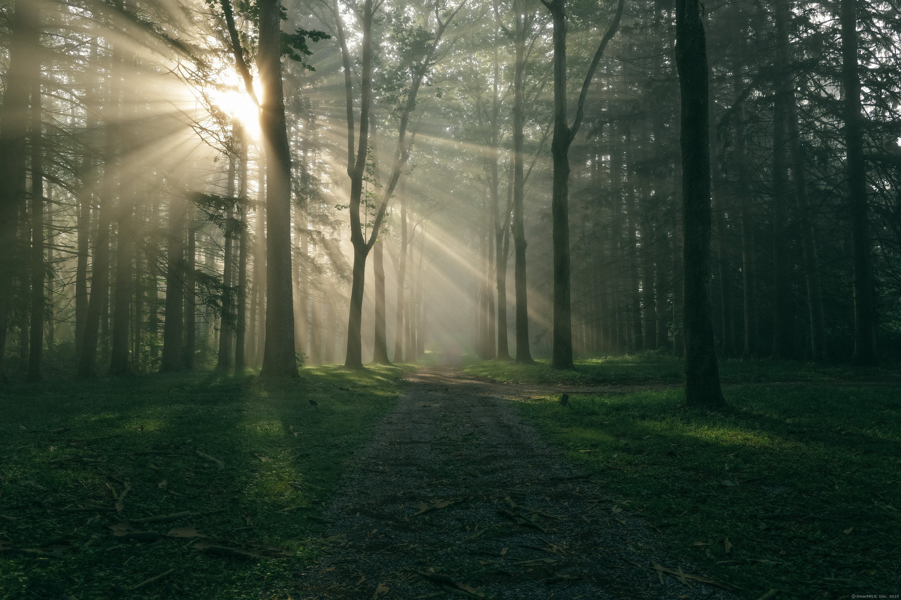 138 Amenia Road Sharon, CT 06069 - Photo 6 of 31 a backyard of a house with lots of green space and garden